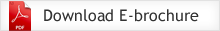 Download PDF